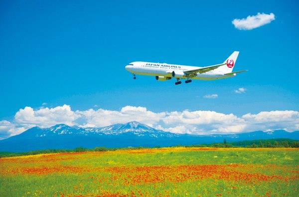 JAL航空機のフロント写真
