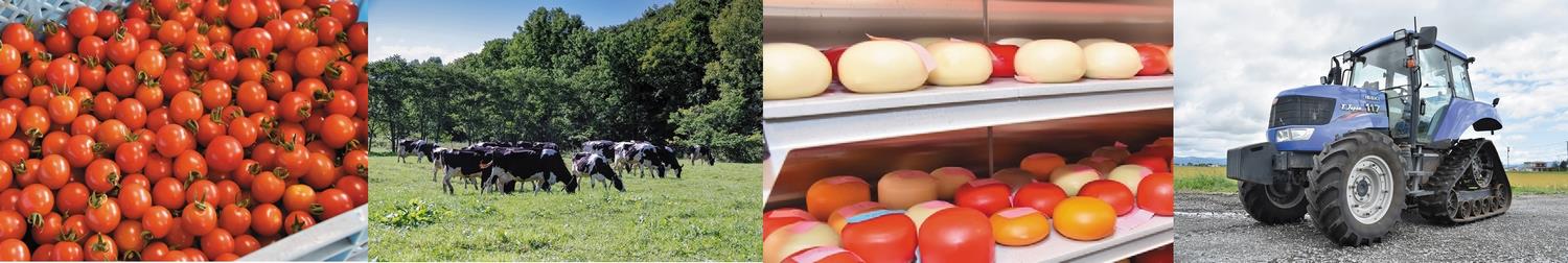 旭川産のトマトやチーズの写真
