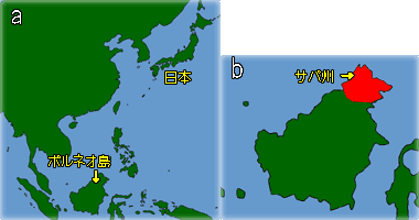a:ボルネオ島と日本の場所とb:ボルネオ島の拡大図