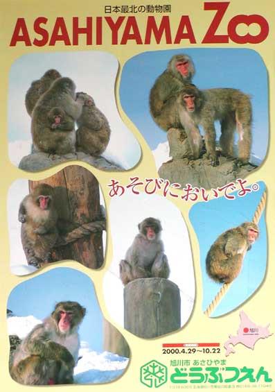 平成12年のポスターの写真