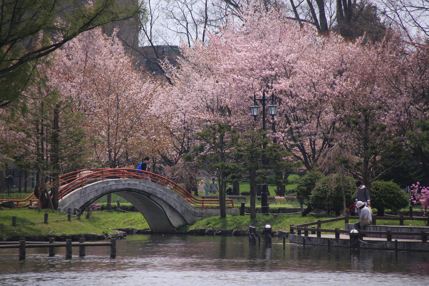 Tokiwa Park