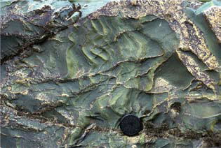 緑色岩の写真