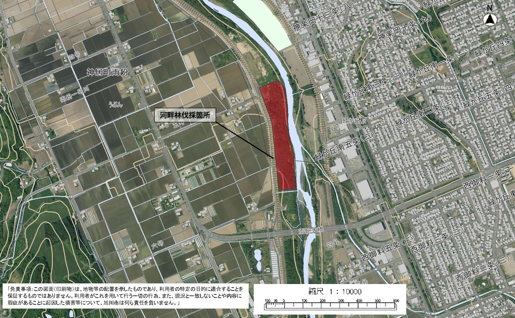 河畔林伐採箇所