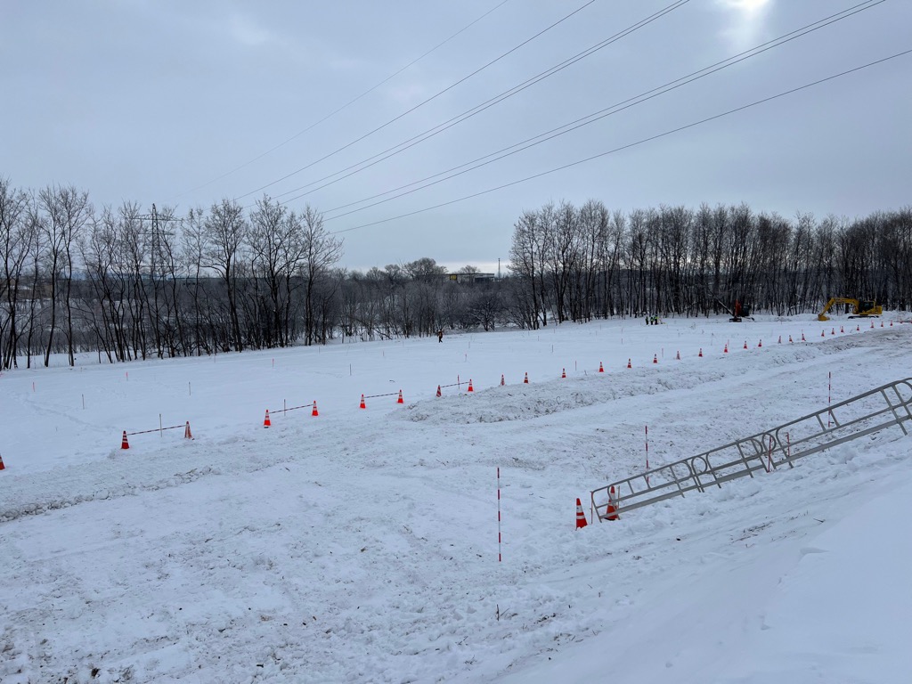 河川敷伐採状況