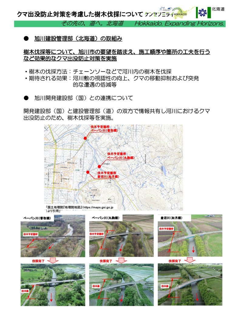 道河川河畔林伐採