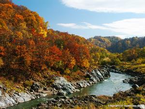 神居古潭の紅葉