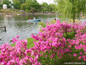 常磐公園