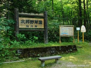 北邦野草園（嵐山公園）