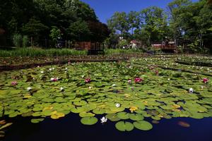 三浦庭園