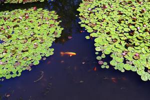 三浦庭園