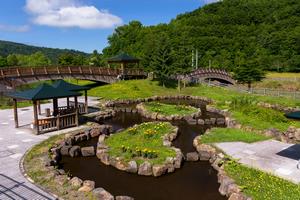 21世紀の森　ファミリーゾーン　水辺公園