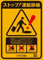 ストップ！渡航移植