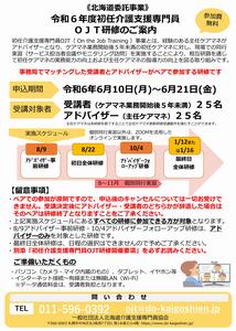 チラシ