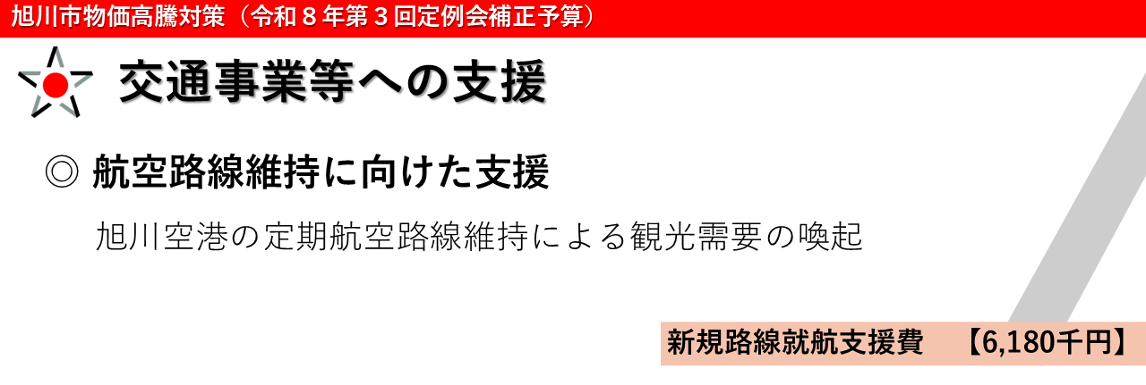 交通事業等への支援