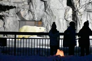 雪あかりの動物園の画像