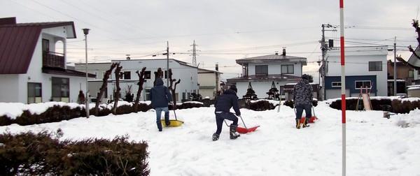 公園への雪入れ