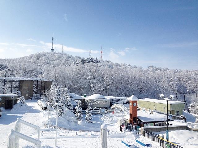 動物園の冬景色の写真