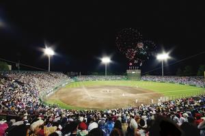 プロ野球公式戦の写真