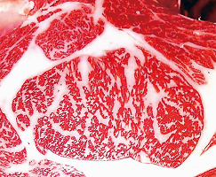 サカイ牧場の枝肉の写真