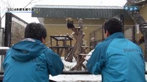旭山動物園の2014年度を振り返ります