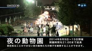 夜の動物園その2を紹介します