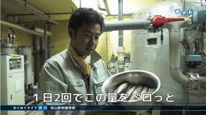 平成29年6月3日の画像