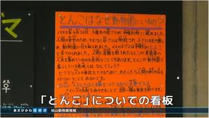 平成29年7月8日の画像