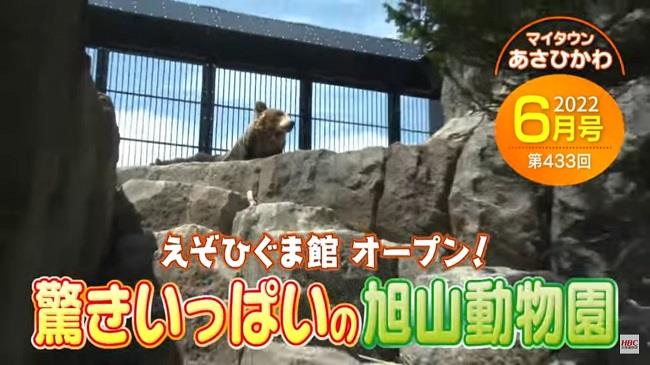 マイタウンあさひかわ