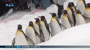 わくわく2/1