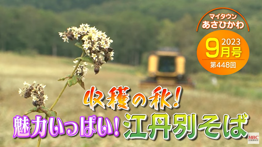 マイタウン0924