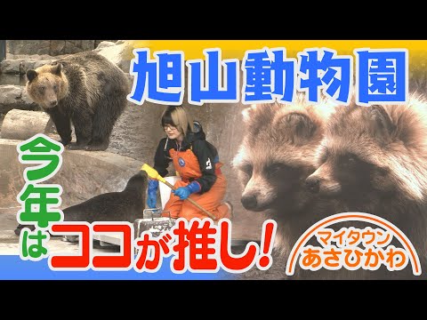 マイタウンあさひかわ5