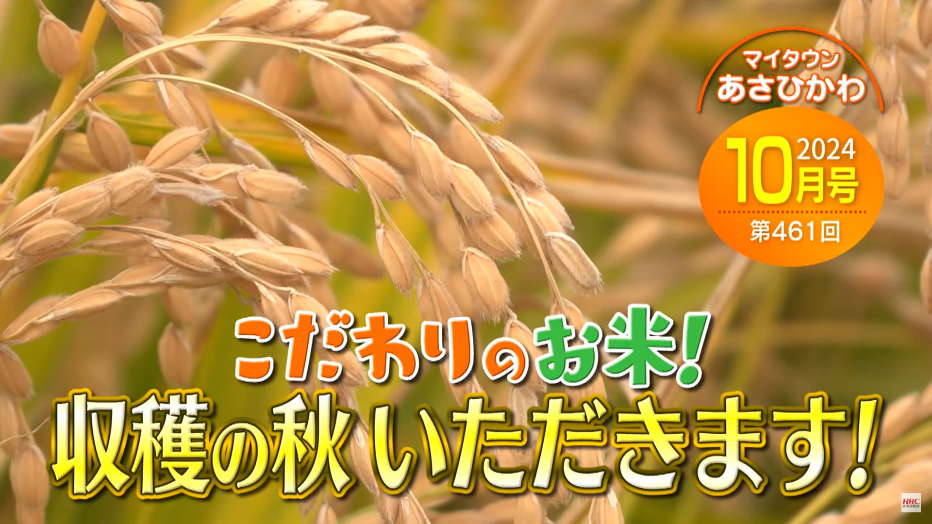 マイタウンあさひかわ1028