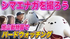 シマエ大福
