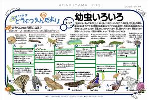 みにだより137