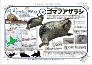 みにだより141号