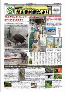 だより304号