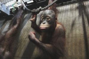 3歳になったモリトの様子