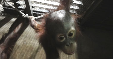 モリトの写真