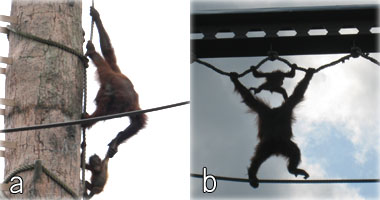 モリトの手を引っ張るリアンと一緒に空中散歩をする様子