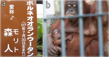 命名式のプレートとリアンに抱かれているモリトの様子