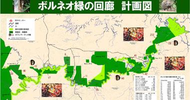 ボルネオ緑の回廊 計画図