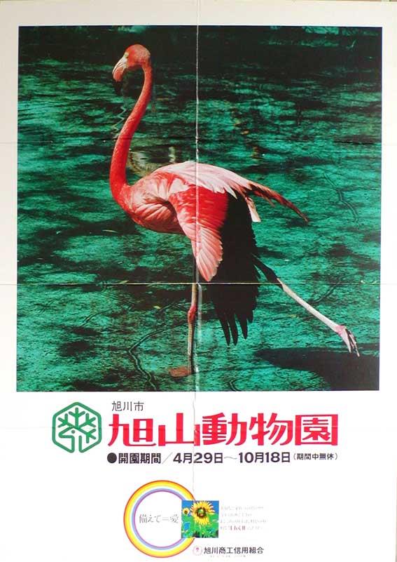 昭和56年のポスターの写真