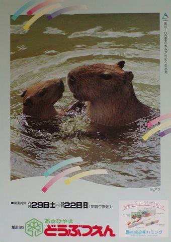 平成元年のポスターの写真