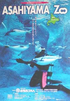 平成13年のポスターの写真