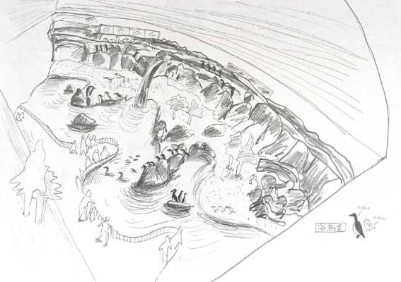 北海道周辺に生息する海鳥の暮らしを展示の絵