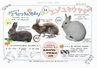 あさひやまどうぶつえんみにだより68号