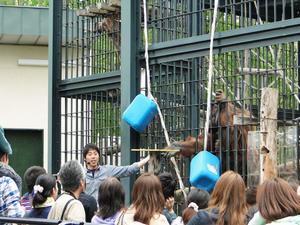 ガイドの様子