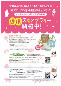 フライヤー