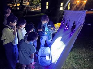 夜の動物園（ライトトラップ）