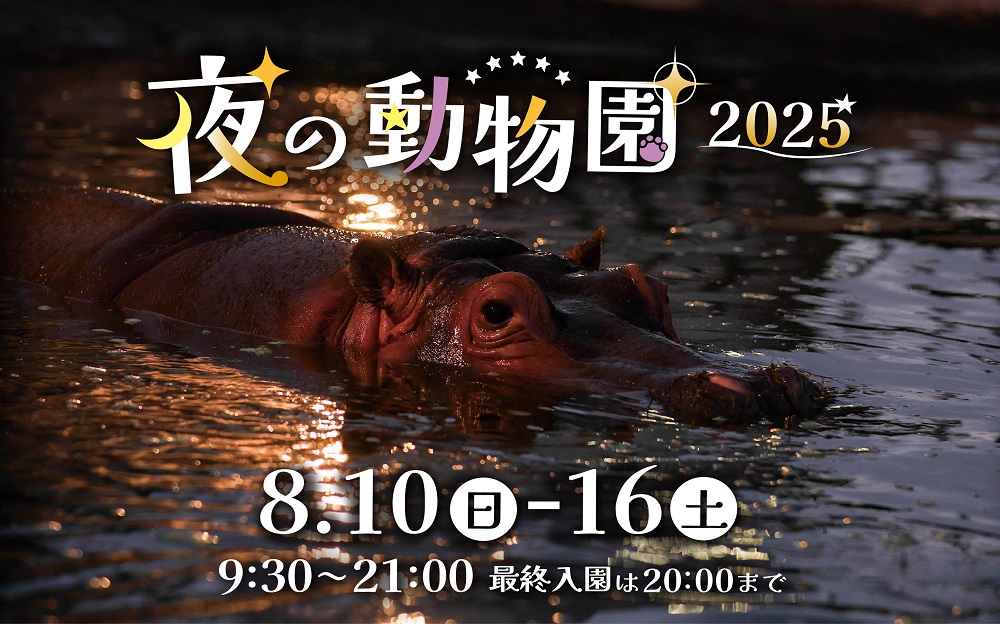 2025夜の動物園バナー